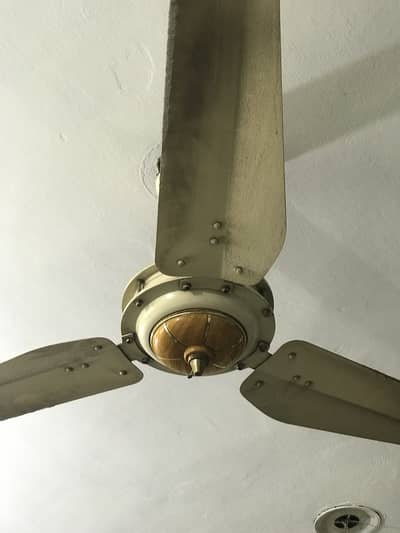 3 Fancy Pak ceiling fan for sale