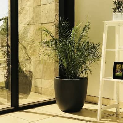 Premium Indoor Plant / Outdoor Planter – Large Pot