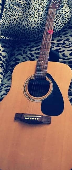 f310 guitar