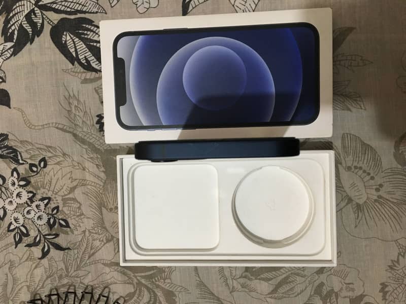 Apple iPhone 12 1