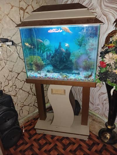 fish tenk