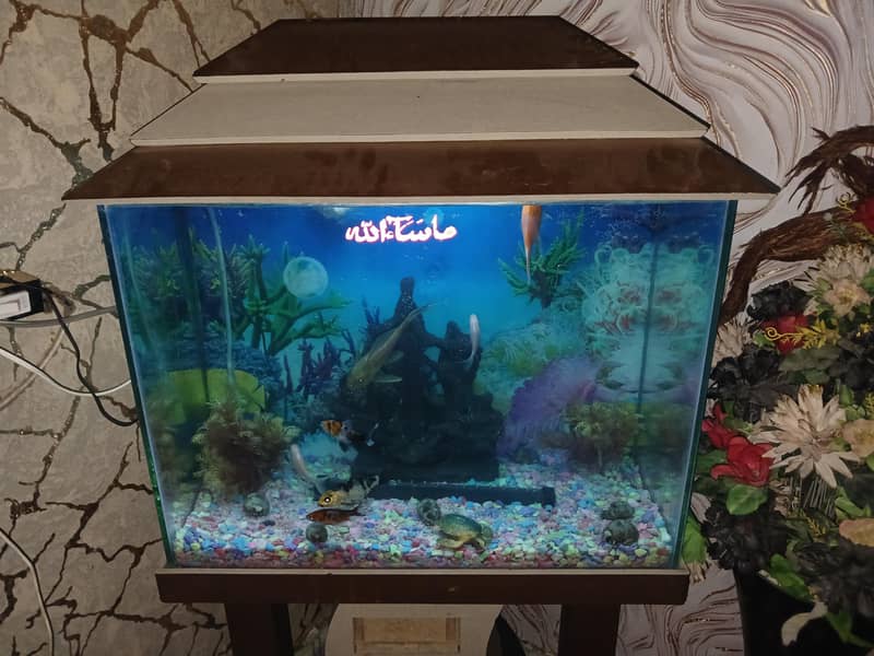 fish tenk 2