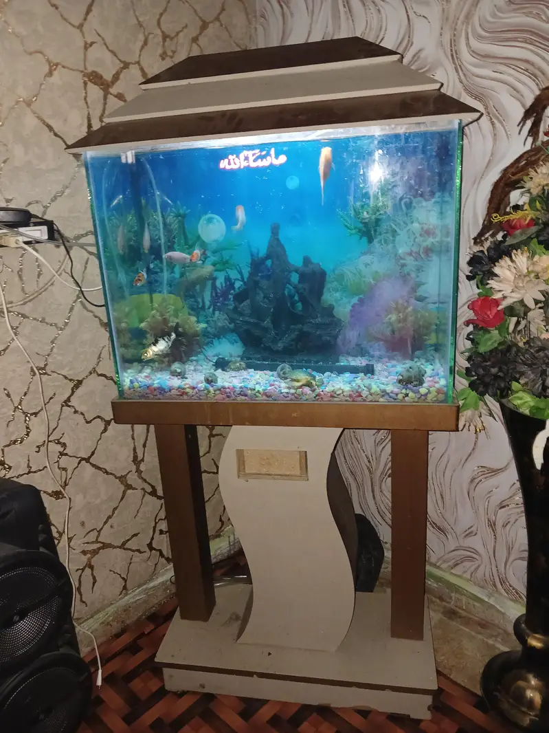 fish tenk — photo 4