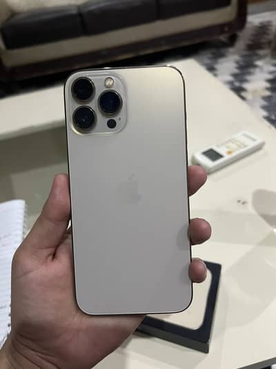 Apple iPhone 13 Pro Max