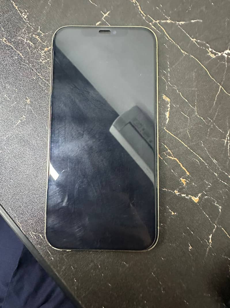 Apple iPhone 12 Pro Max 2
