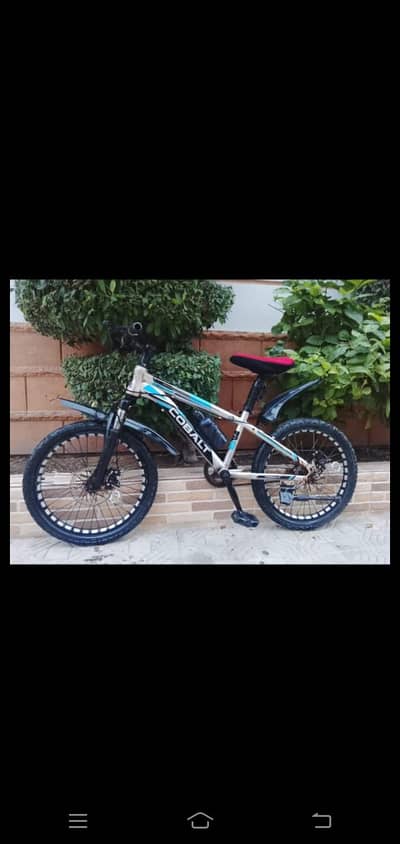 imported bicycle