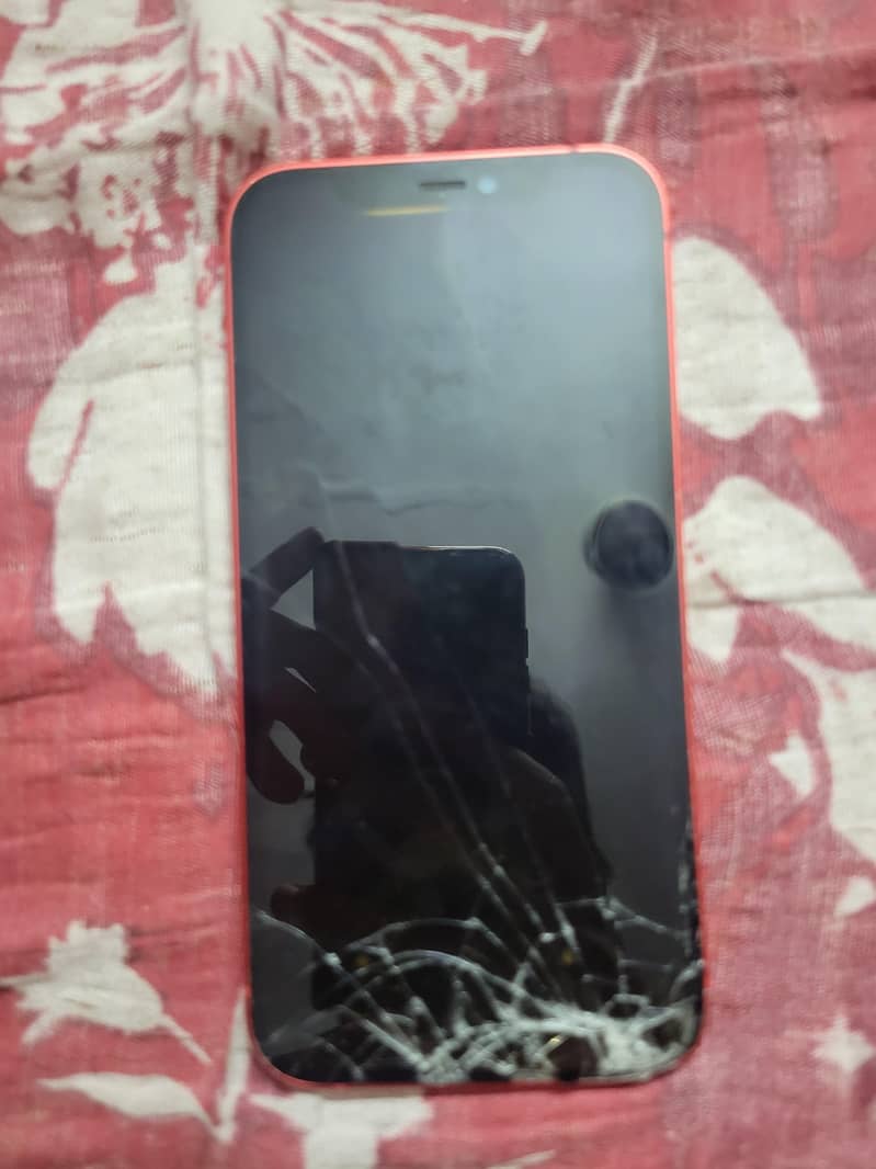 Apple iPhone 12 1