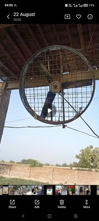 dairy Farm Fan
