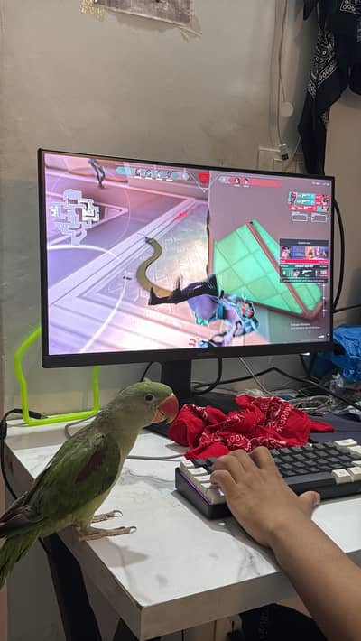 Valorant PC