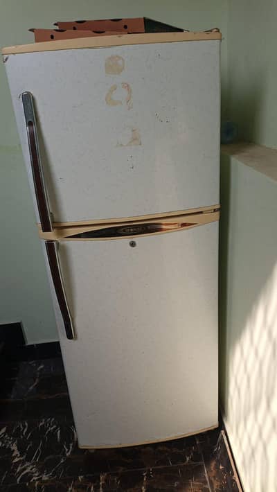 waves fridge