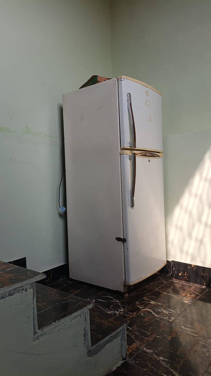 waves fridge 1