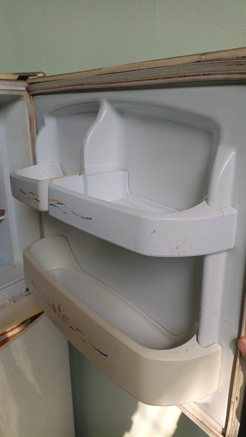 waves fridge 2