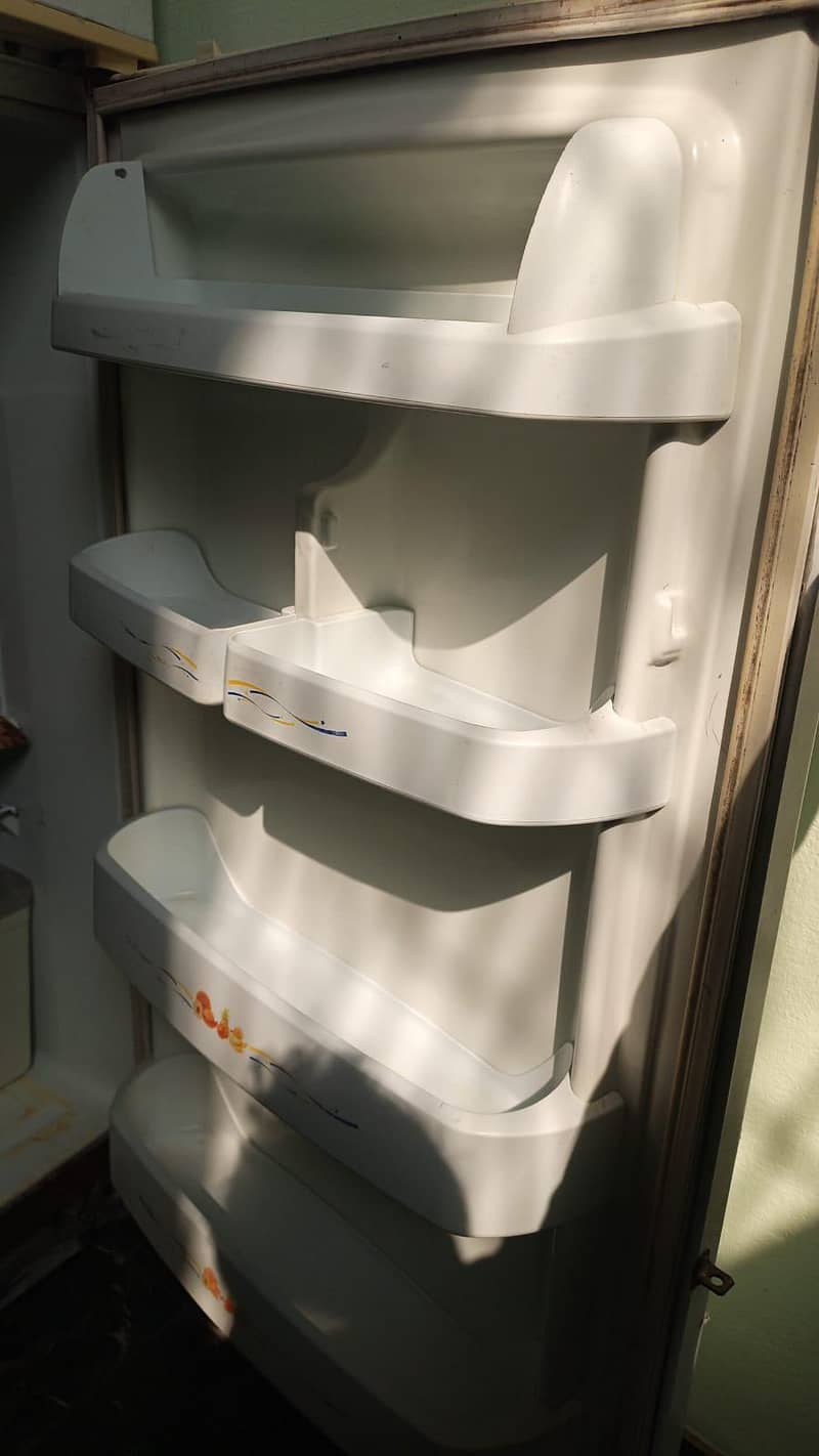 waves fridge 4