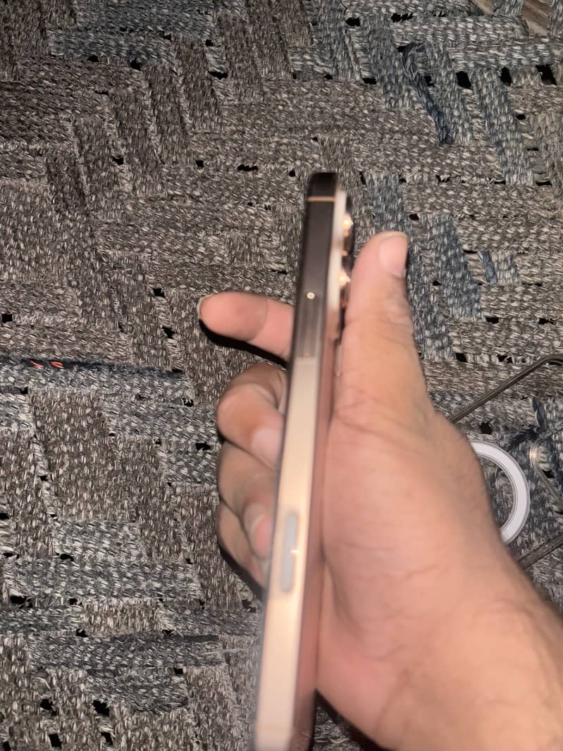 Apple iPhone 16 Pro Max 1