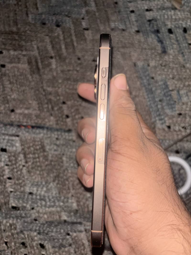 Apple iPhone 16 Pro Max 4