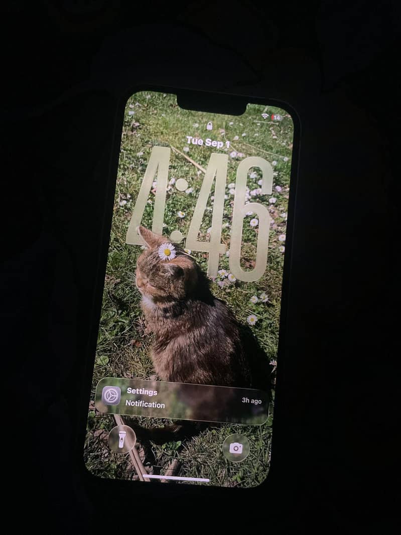Apple iPhone 13 2
