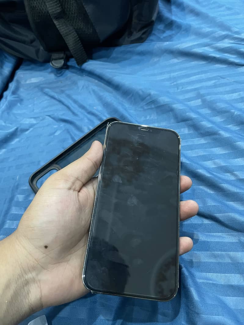 Apple iPhone 12 Pro Max 1