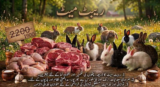 RABBIT MEAT for sale 03002237358