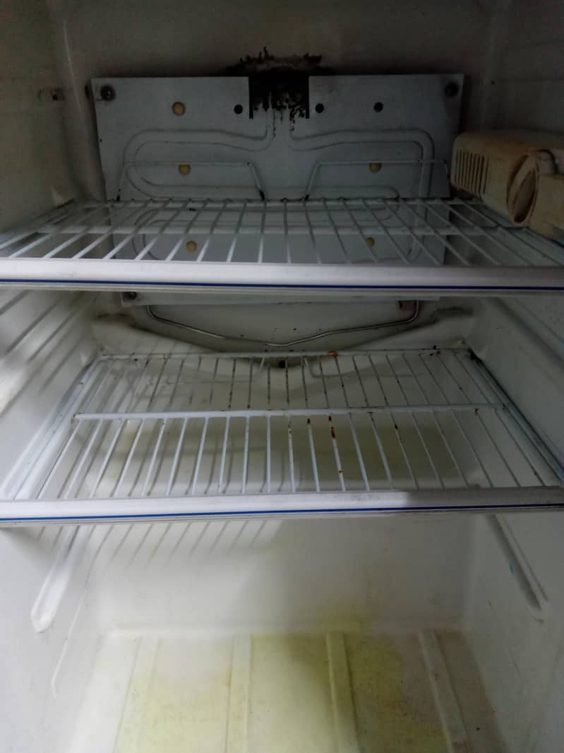 fridge 2