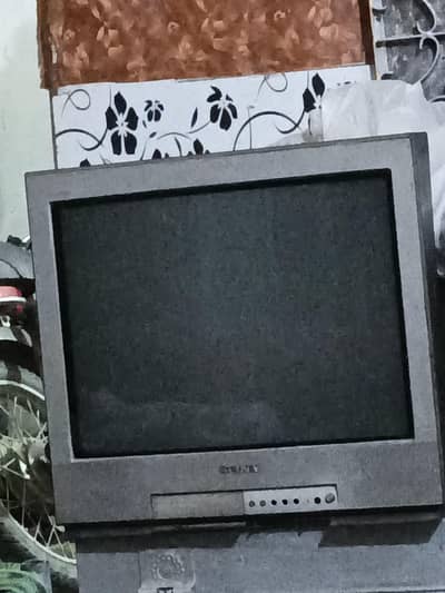 TV item