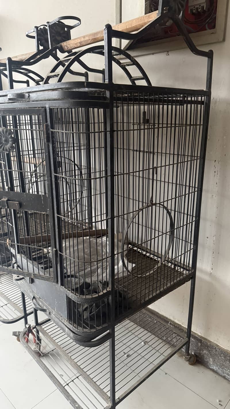 Cages 0