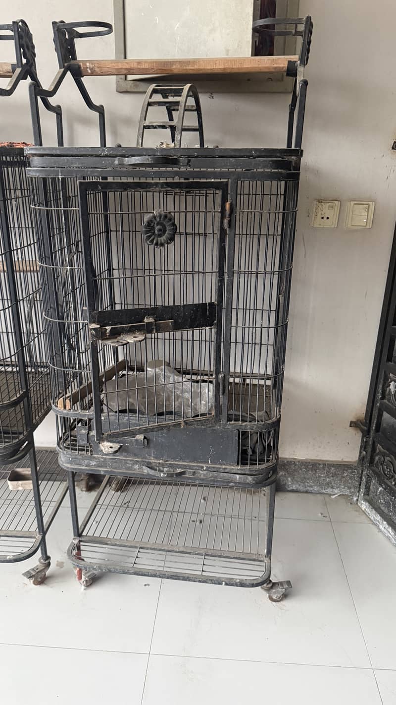 Cages 1