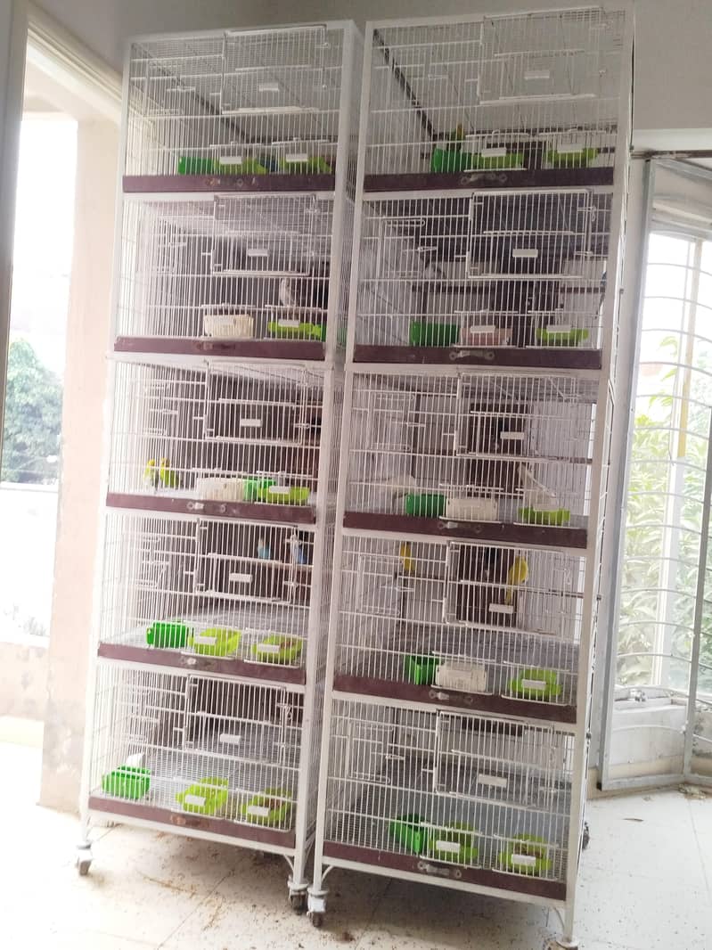 Heavy Cages 1