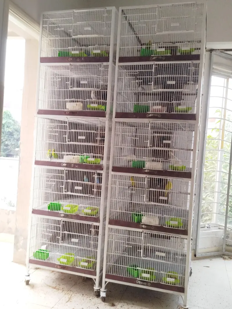 Heavy Cages — photo 2