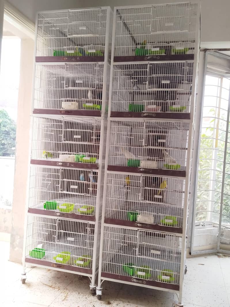 Heavy Cages 2