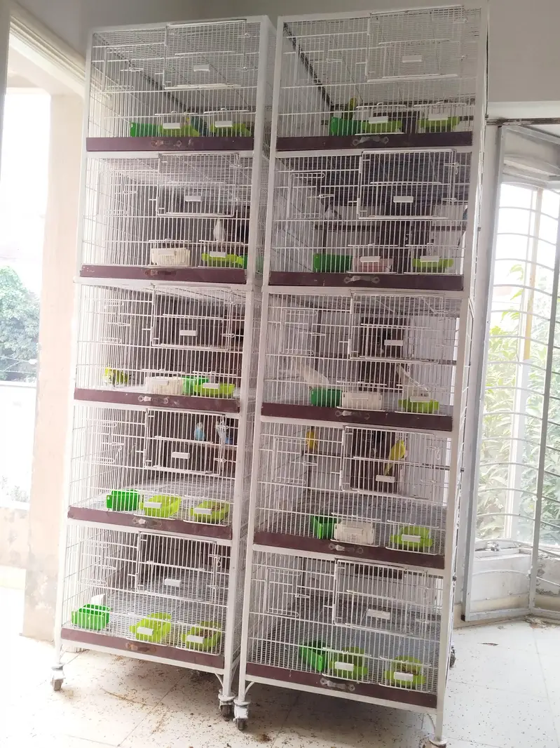 Heavy Cages — photo 3