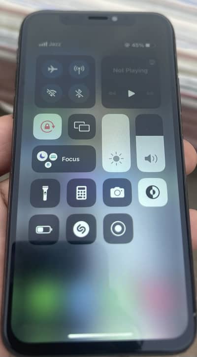 Apple iPhone X