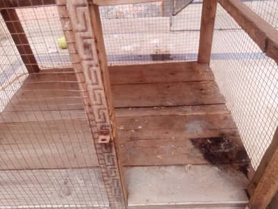 murga or parrots ka cage pure wood