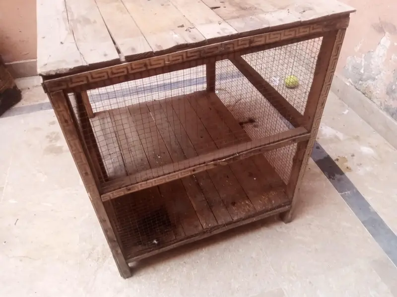 murga or parrots ka cage pure wood — photo 3