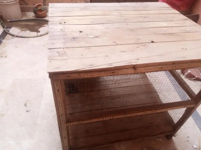 murga or parrots ka cage pure wood — photo 4
