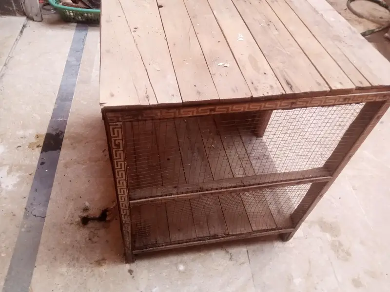 murga or parrots ka cage pure wood — photo 5