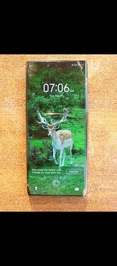 Tecno Spark 20 Pro plus