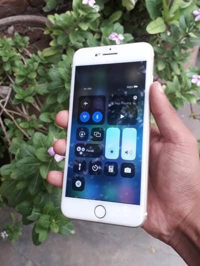 iPhone 7 Plus Pta 03709196318