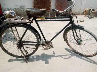 Sohrab adult bicycle