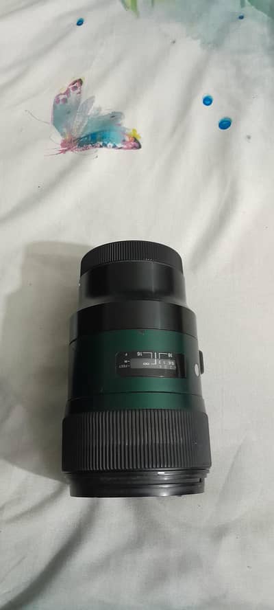 lumix S1 and Sigma 1.4 dg L-mount