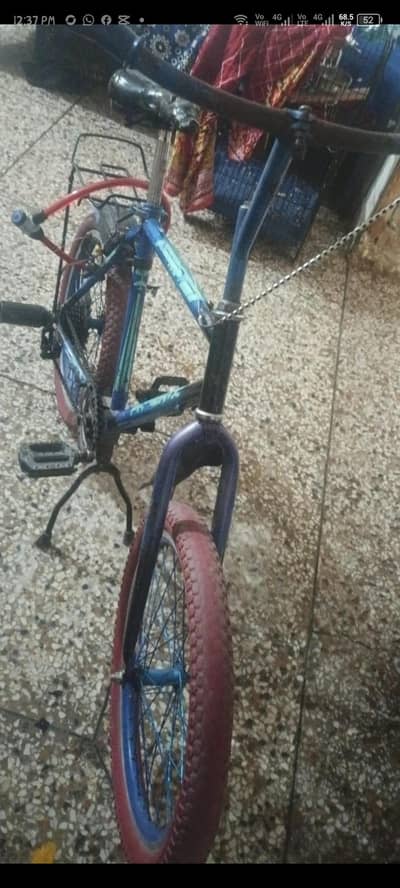 phoenix cycle