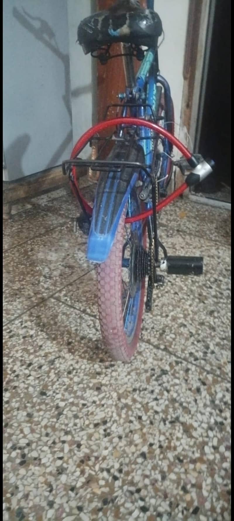 phoenix cycle 1