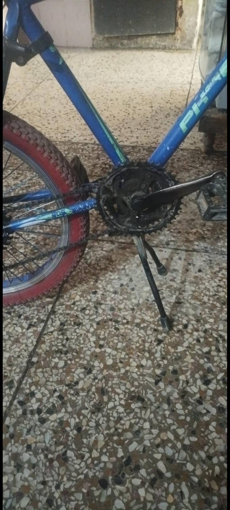 phoenix cycle 4