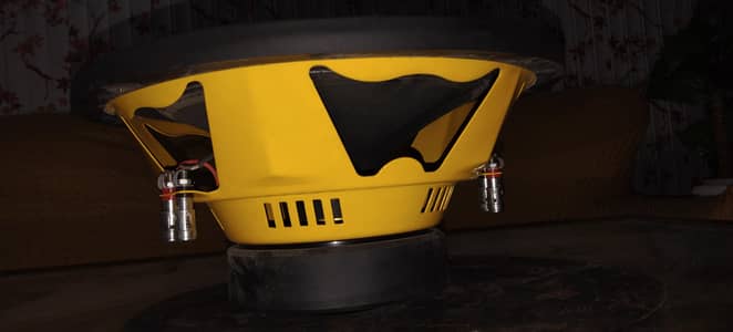double coil subwoofer