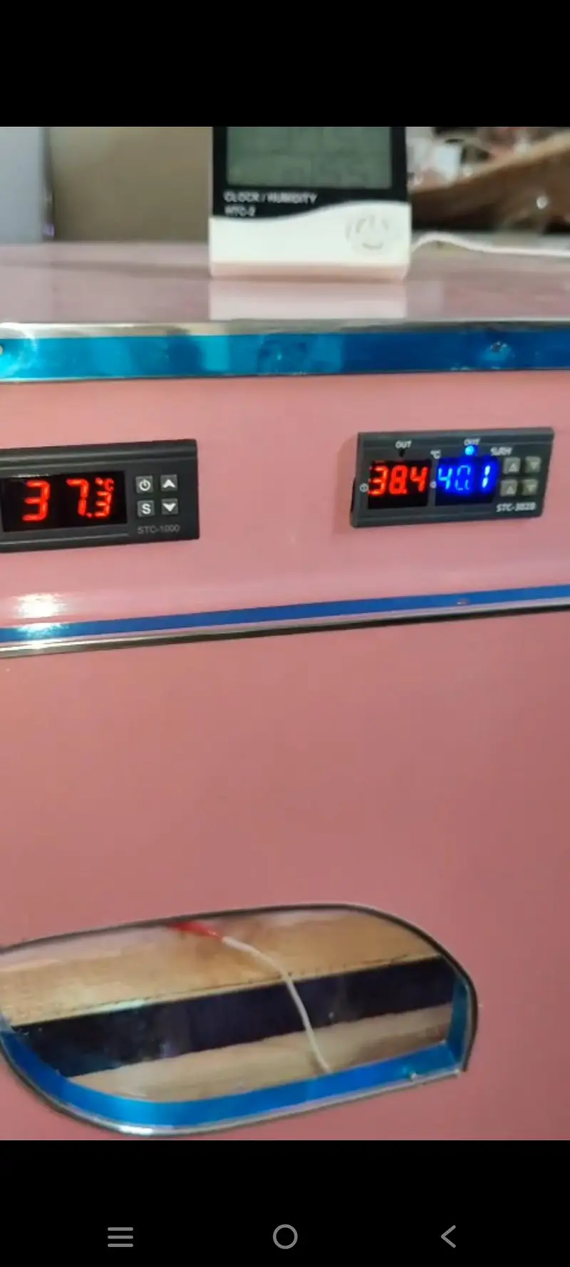 incobetar for sale 200 egg — photo 2