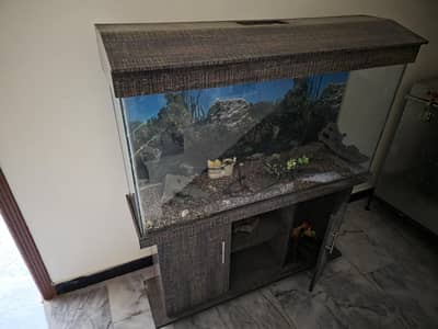 Large Aquarium with 2 full Cabinets and a decent storage space