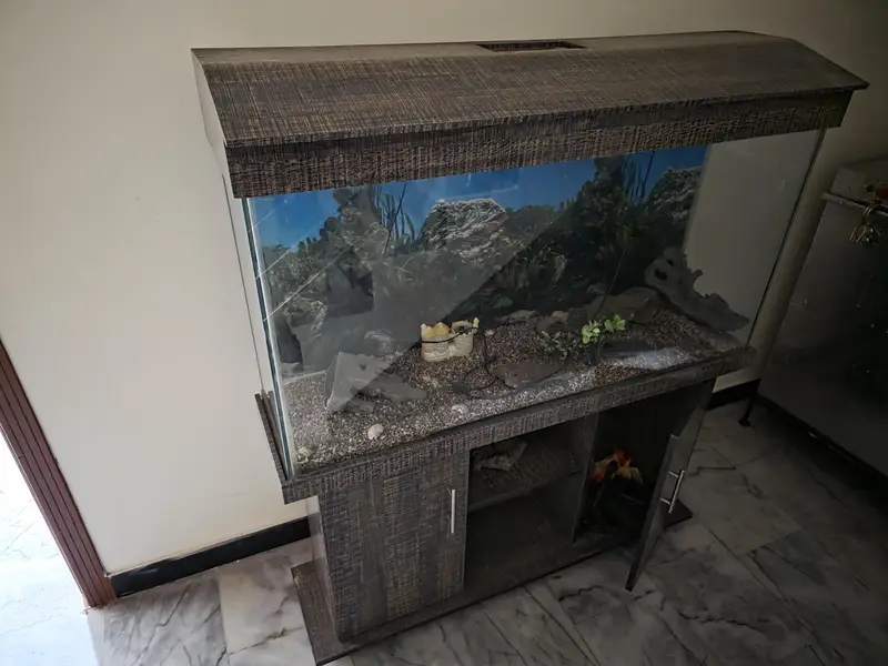 Large Aquarium with 2 full Cabinets and a decent storage space