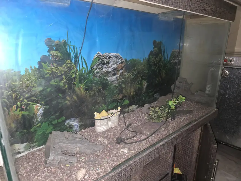 Large Aquarium with 2 full Cabinets and a decent storage space — photo 3