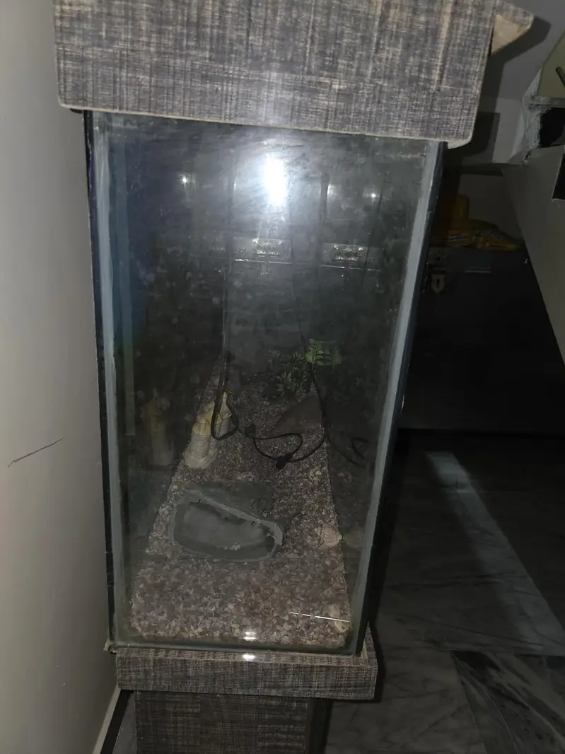 Large Aquarium with 2 full Cabinets and a decent storage space — photo 7