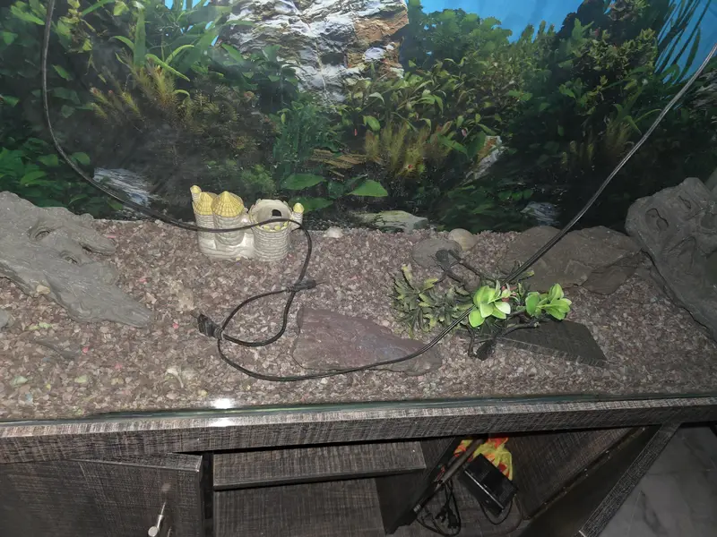 Large Aquarium with 2 full Cabinets and a decent storage space — photo 8