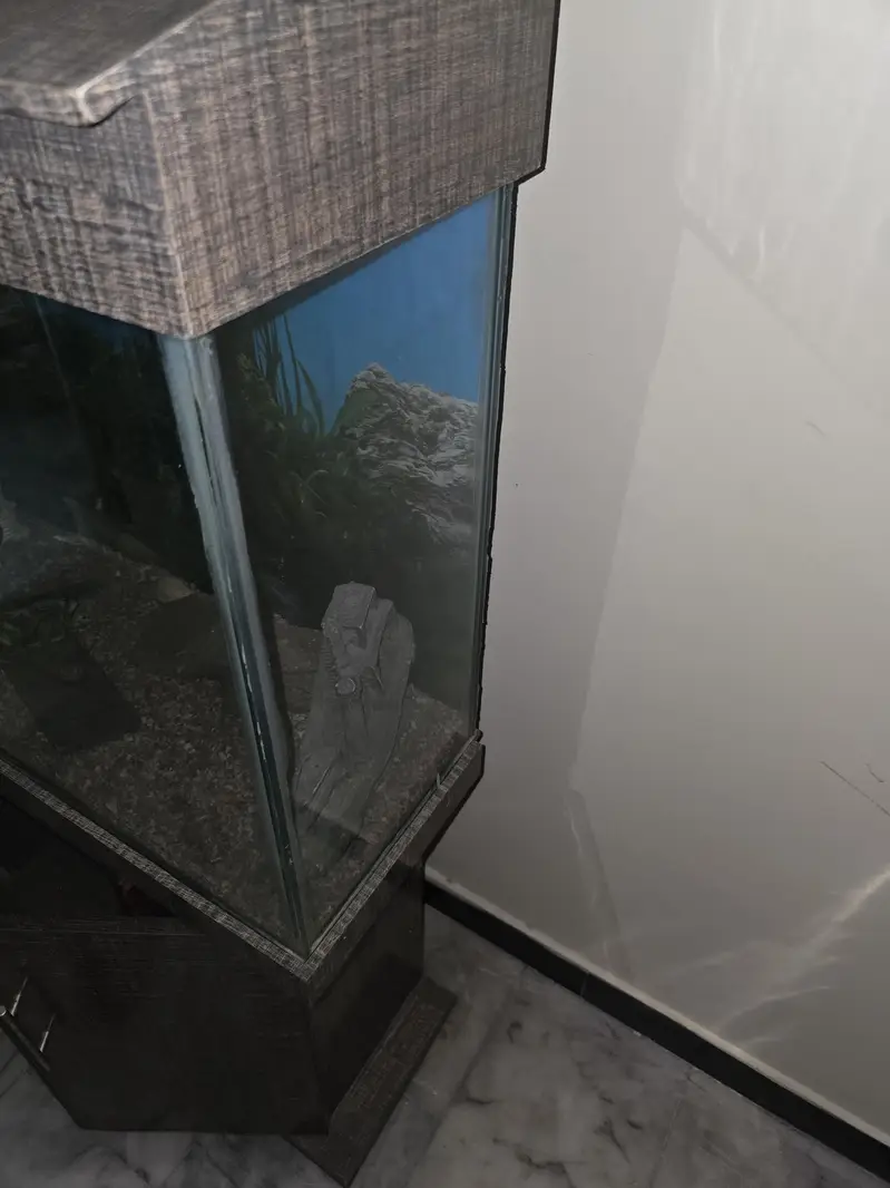 Large Aquarium with 2 full Cabinets and a decent storage space — photo 9